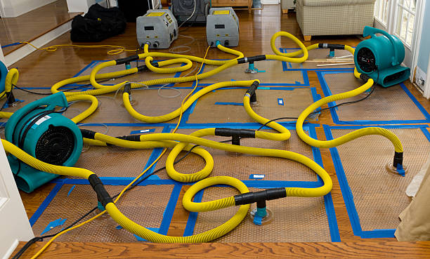 Professional Burst Pipe Water Damage technician working in Hackberry, TX